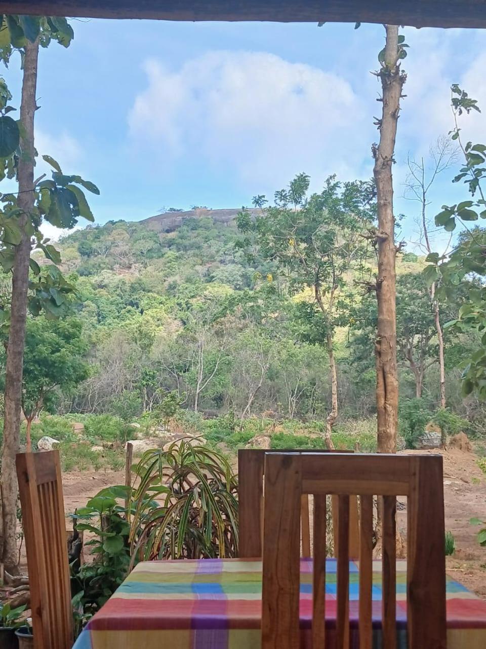 Appartamento Pidurangala View Treehouse Sigiriya Esterno foto
