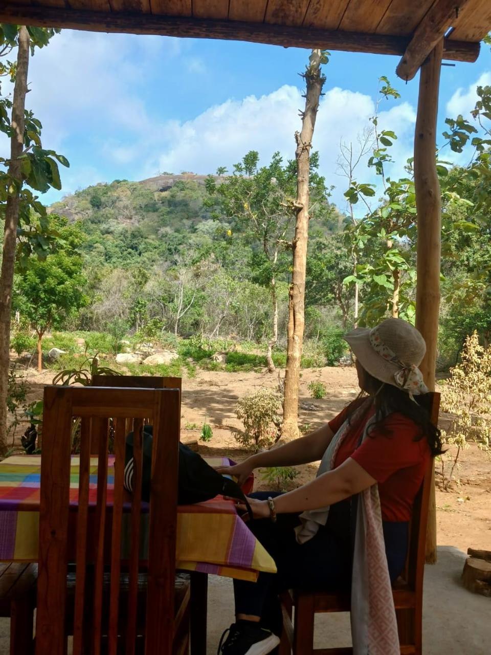 Appartamento Pidurangala View Treehouse Sigiriya Esterno foto