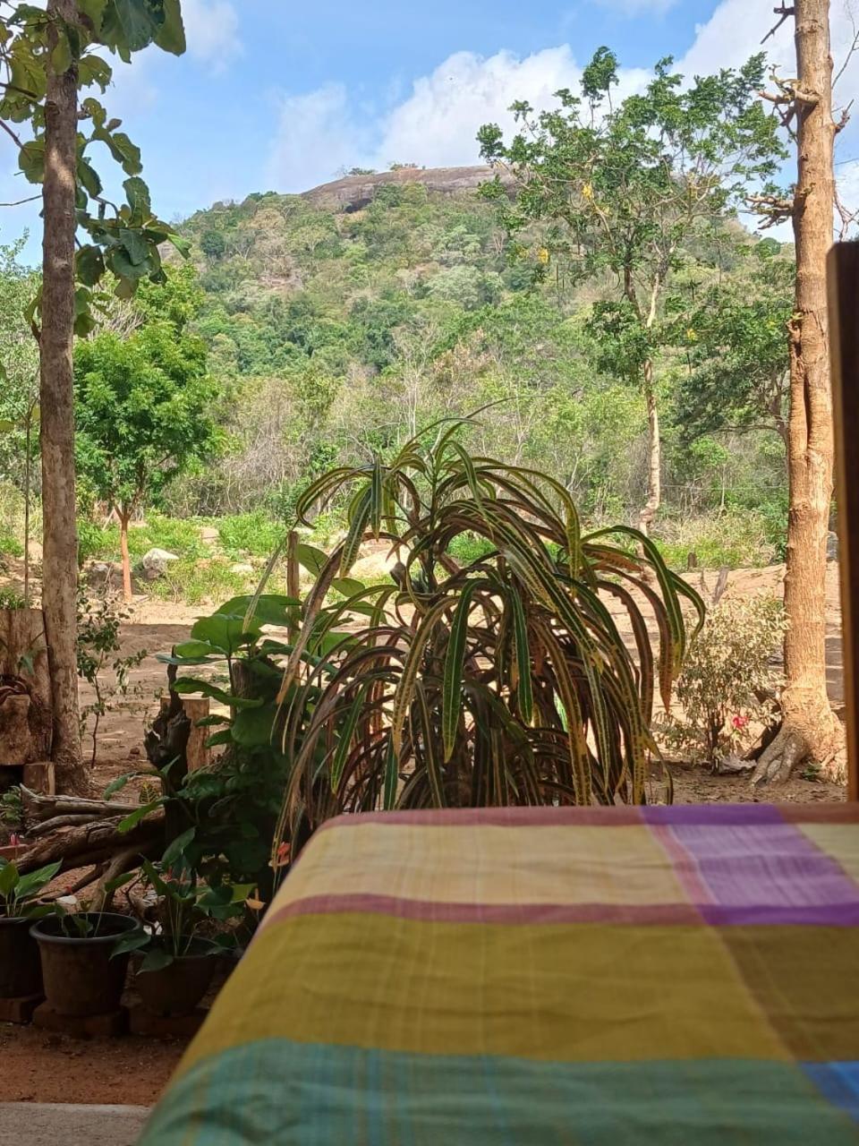 Appartamento Pidurangala View Treehouse Sigiriya Esterno foto