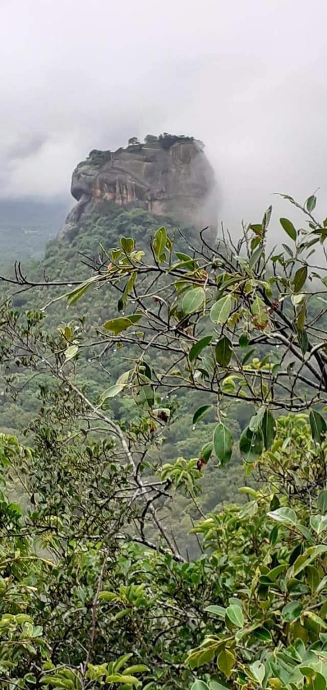 Appartamento Pidurangala View Treehouse Sigiriya Esterno foto