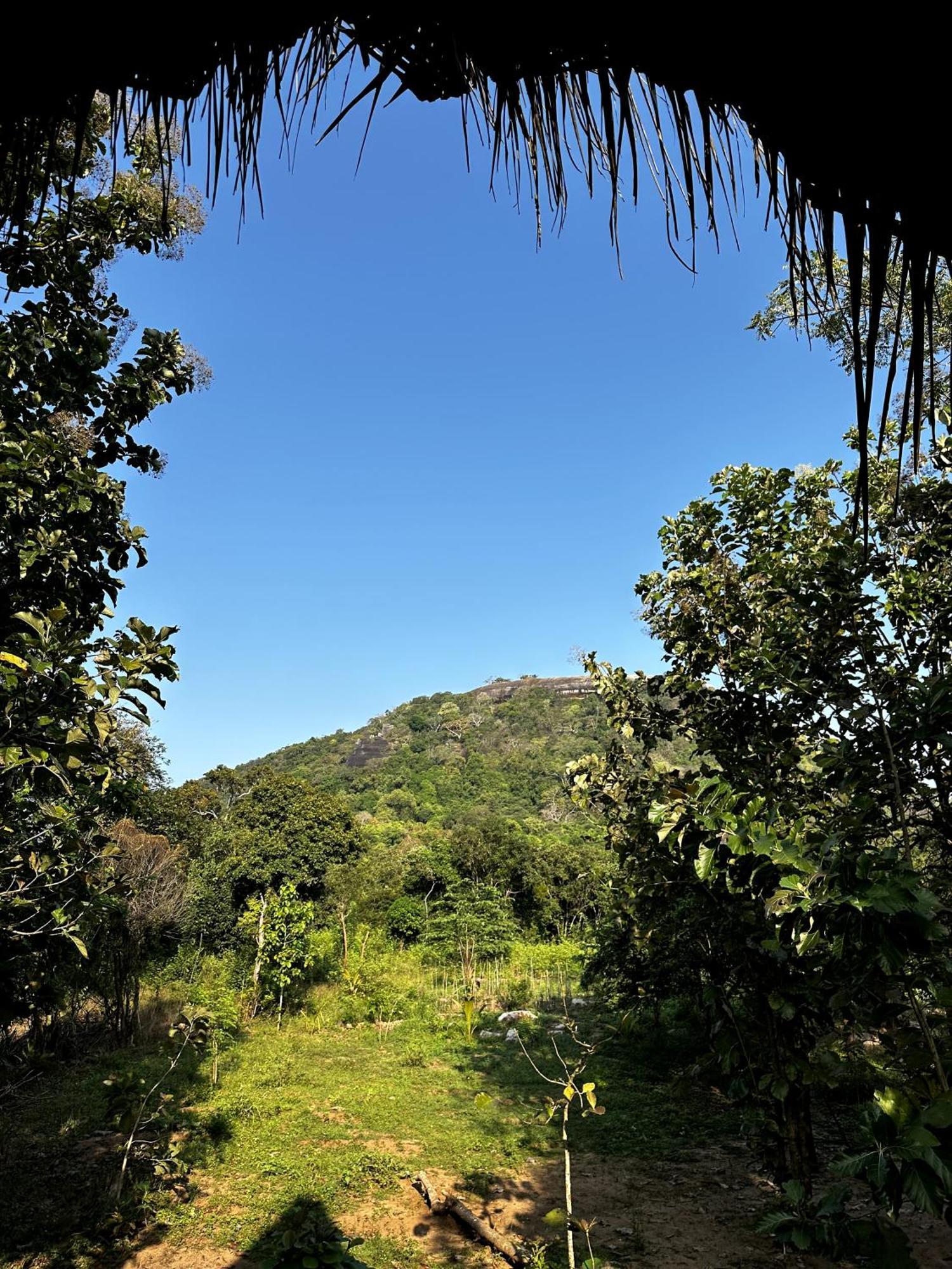 Appartamento Pidurangala View Treehouse Sigiriya Esterno foto