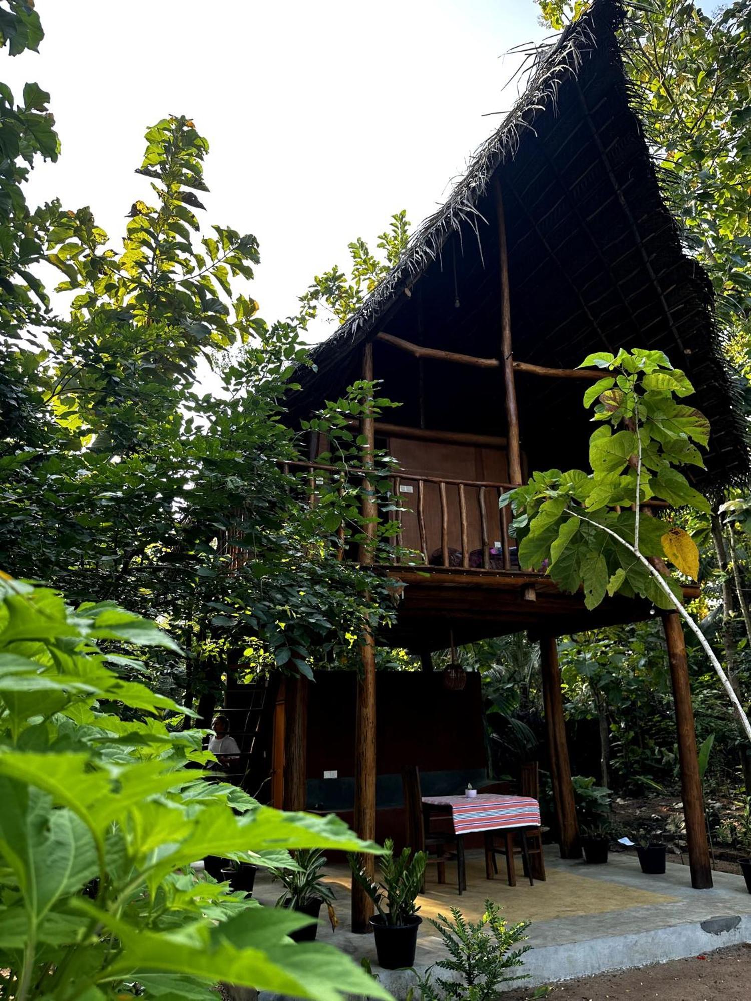 Appartamento Pidurangala View Treehouse Sigiriya Esterno foto