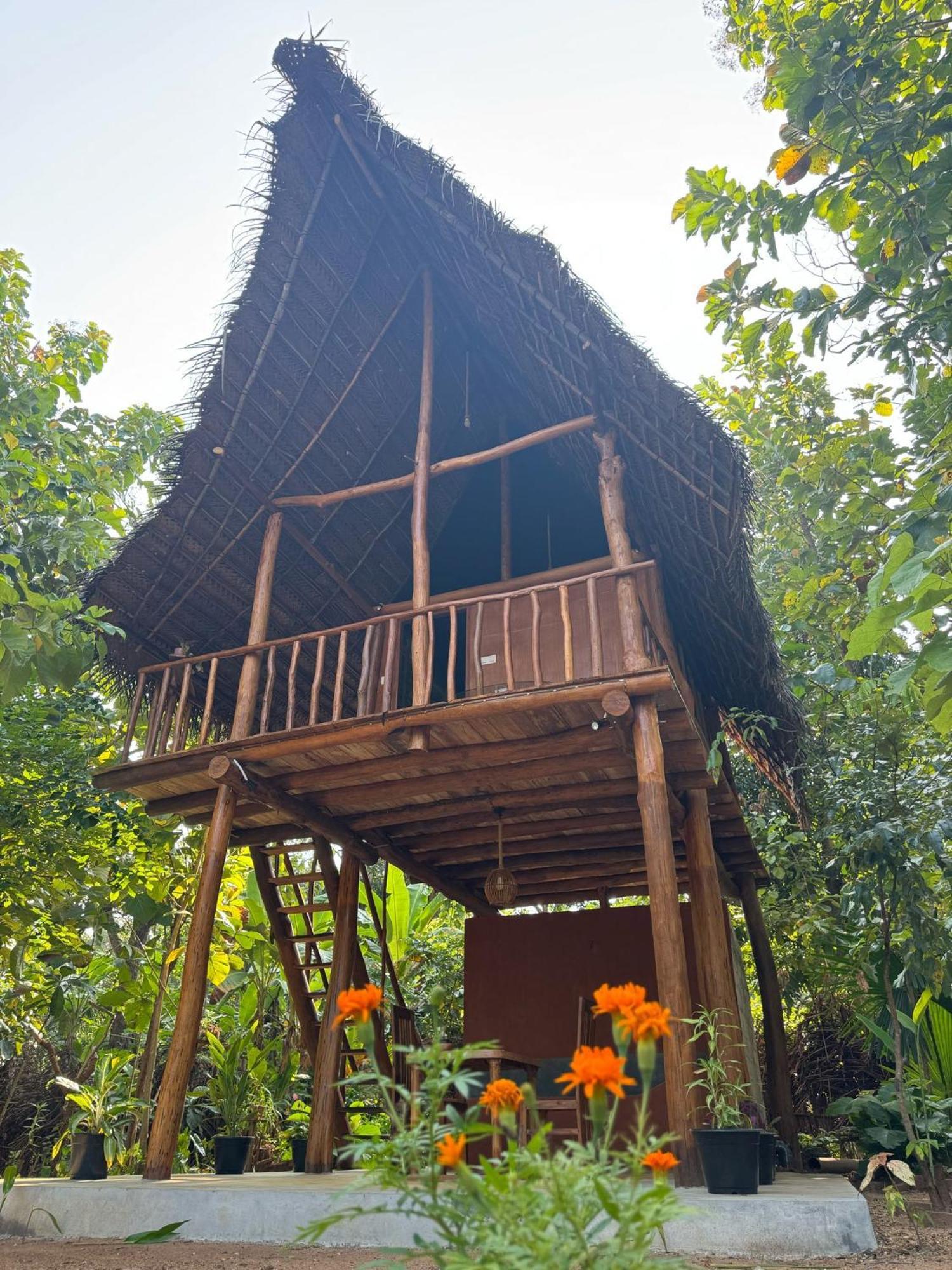 Appartamento Pidurangala View Treehouse Sigiriya Esterno foto