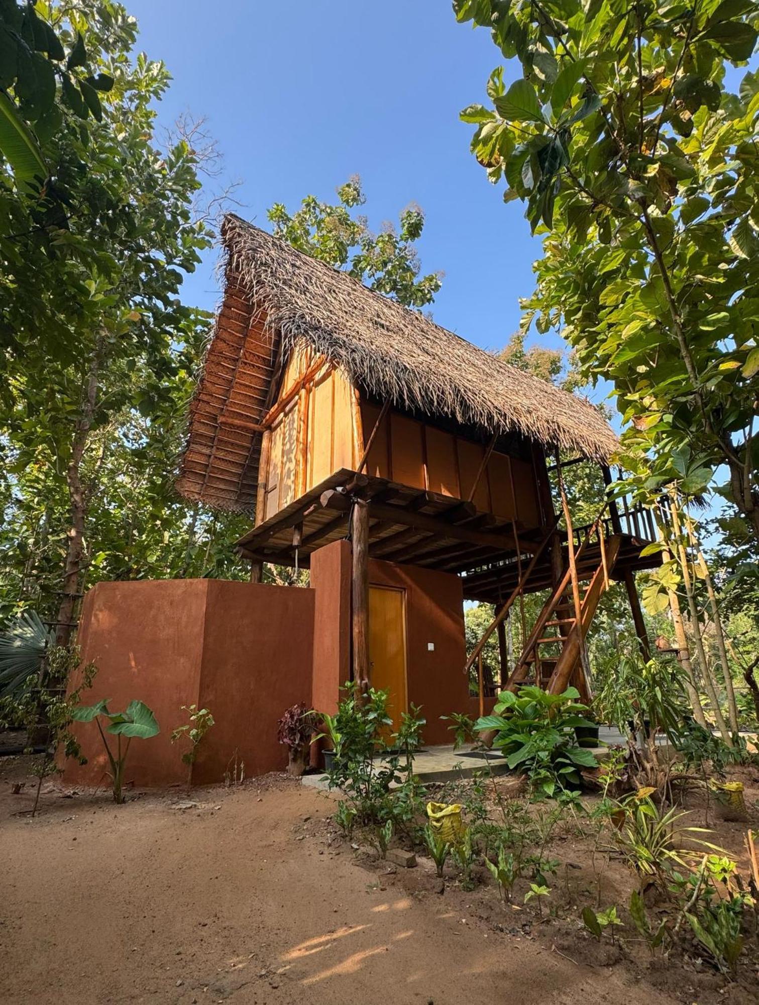 Appartamento Pidurangala View Treehouse Sigiriya Esterno foto