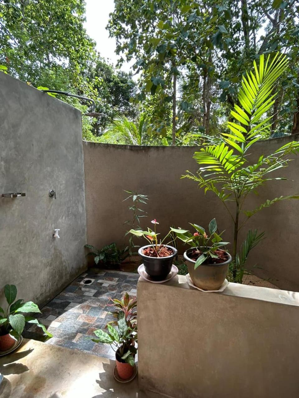 Appartamento Pidurangala View Treehouse Sigiriya Esterno foto