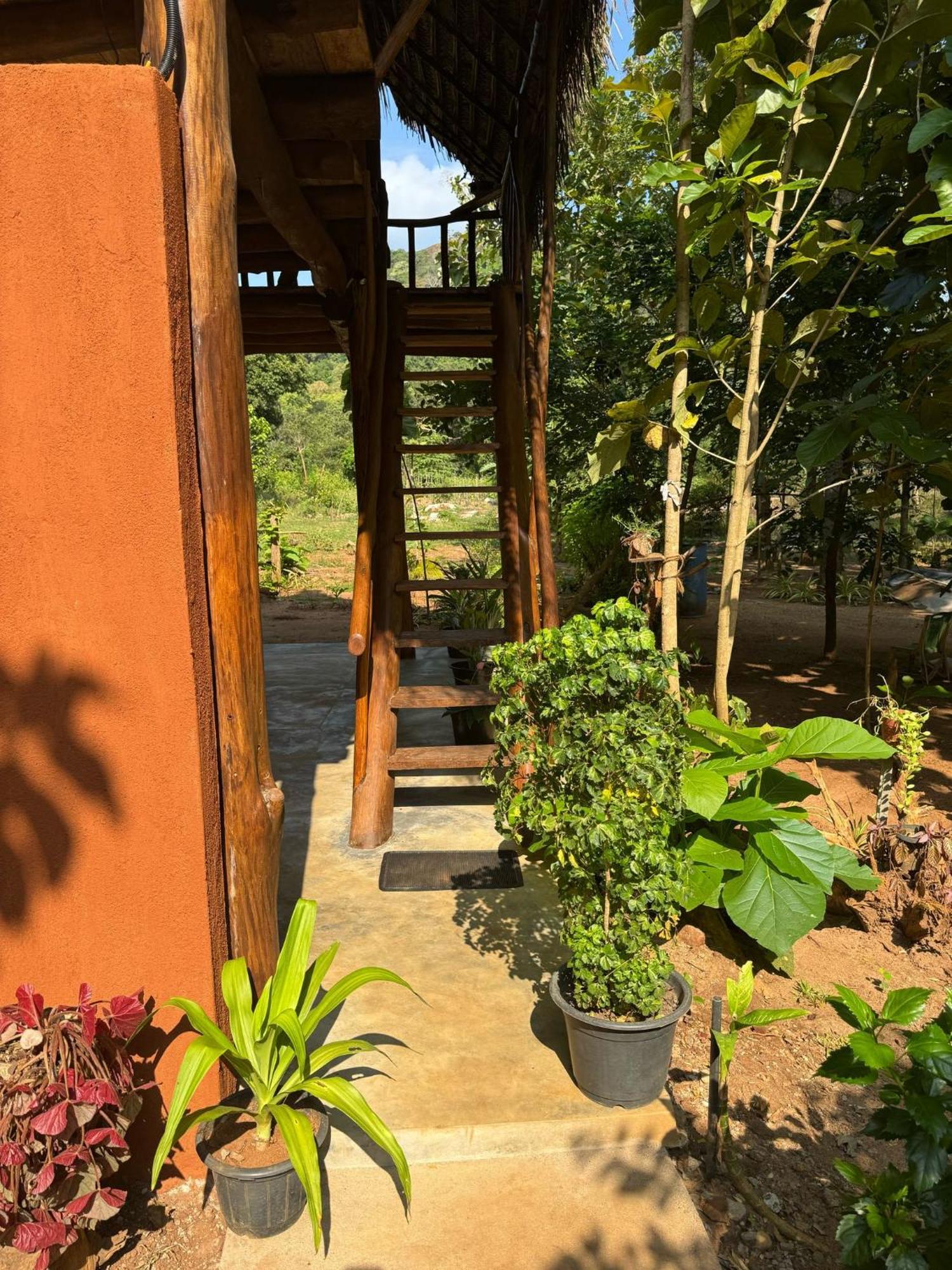 Appartamento Pidurangala View Treehouse Sigiriya Esterno foto